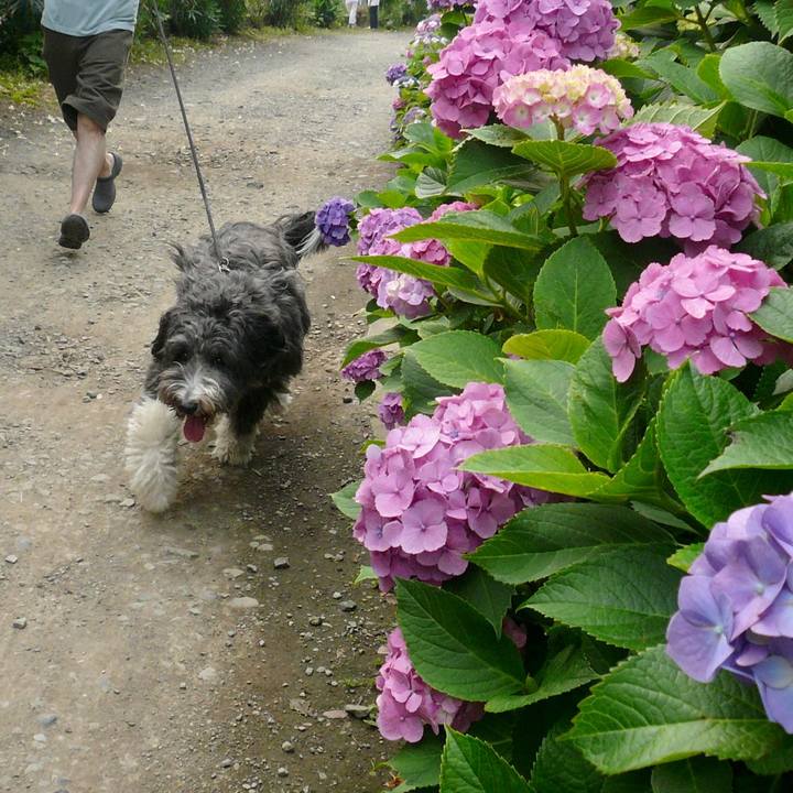 Af931ca3 7549 4f5a 8fc0 d869cd36c47a 1624076041278