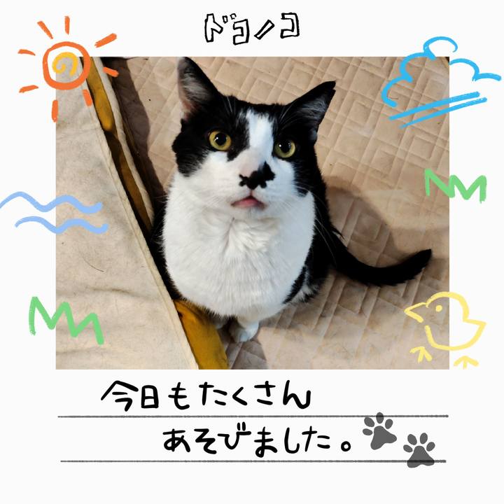 Af937c32 140c 4b7c 851c 7a8ac599e445 1755425564726