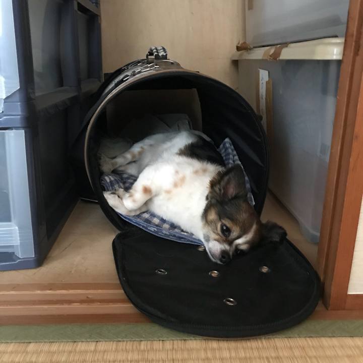 Af93feb1 ebe1 4841 8c38 cc09da095afa 1532213443190