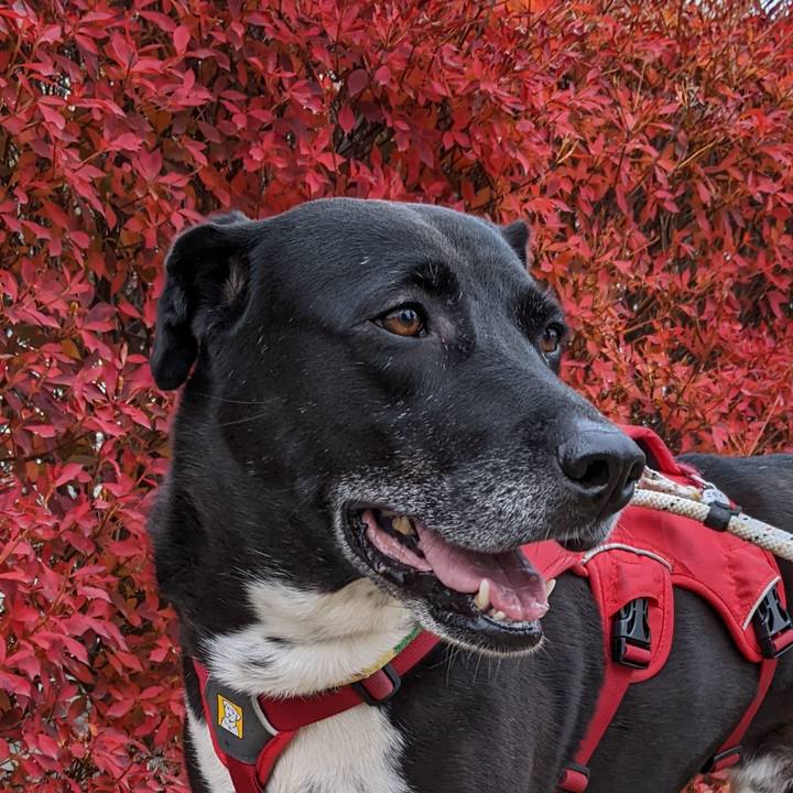 Af941e09 014d 4507 9787 e222a165a420 1669683553847