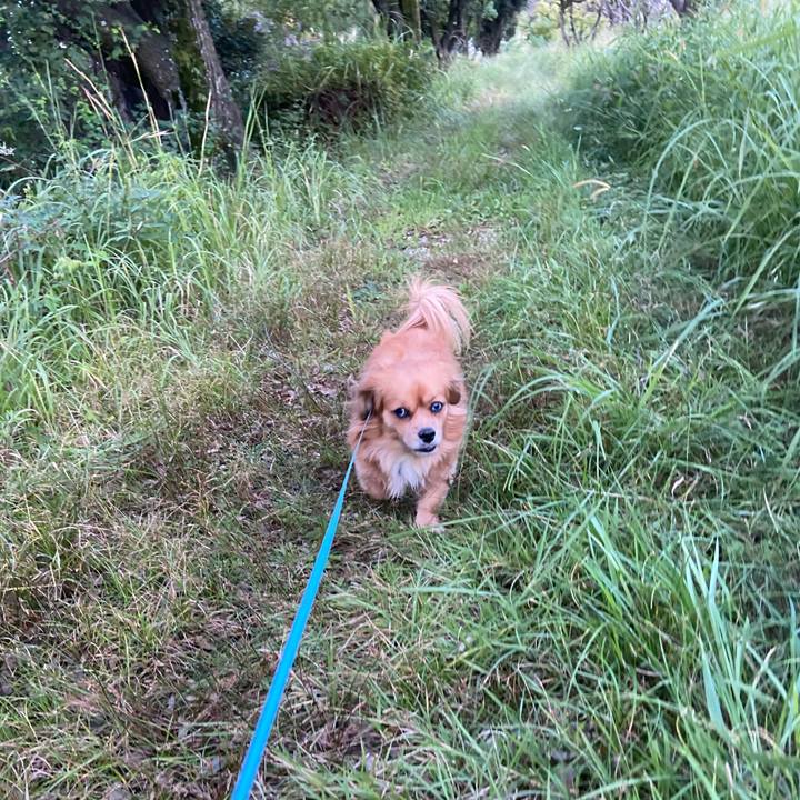 Af948c17 9668 45b5 b227 7c1e1a6629b8 1602798247946