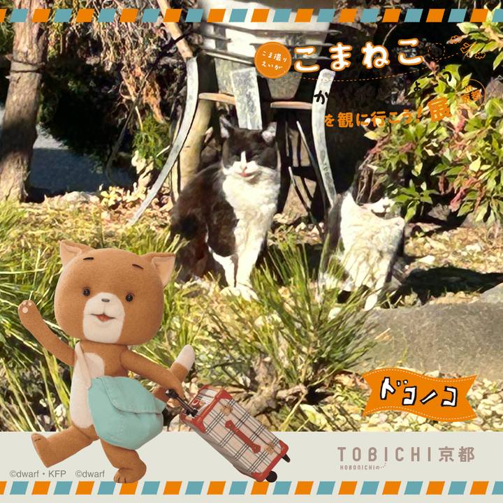 Af948e26 9aba 4037 a2d7 082f79cdd454 1740703901893