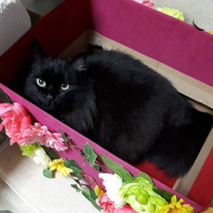 Af949f64 2ea1 433e 8c78 f83e777f03f0 1523060528267