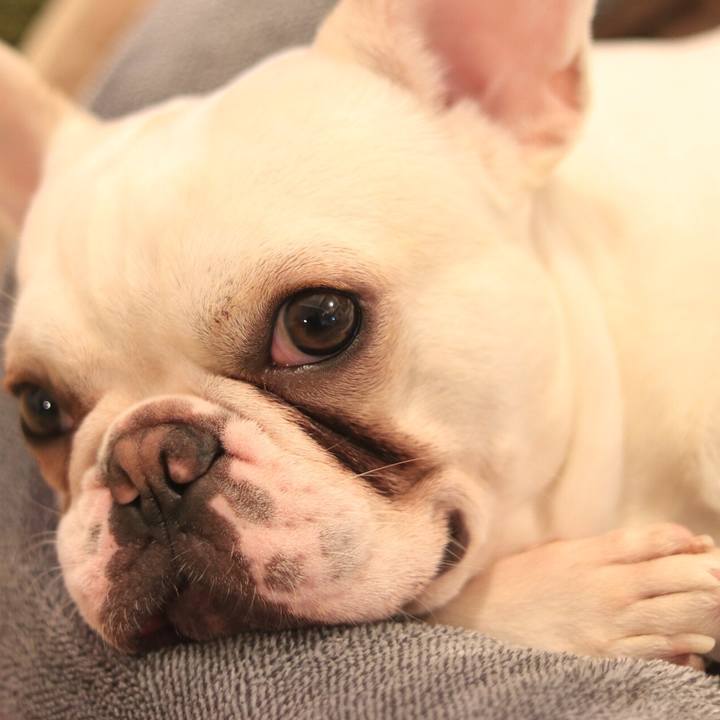 Af94a300 d6ef 4a45 aac3 2418ca72f23e 1522718975384