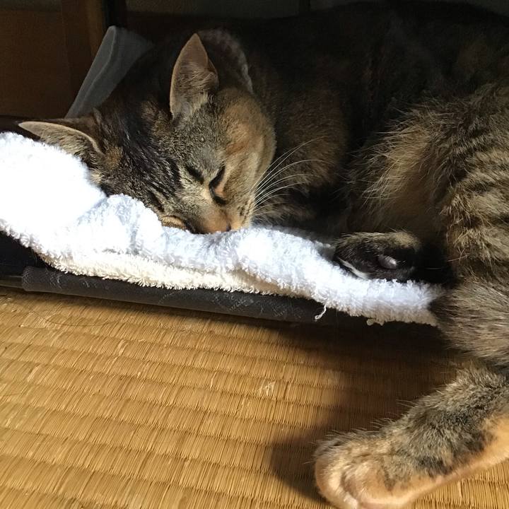 Af94a3ba bcef 426d 9af9 3089d04ac887 1656846007196