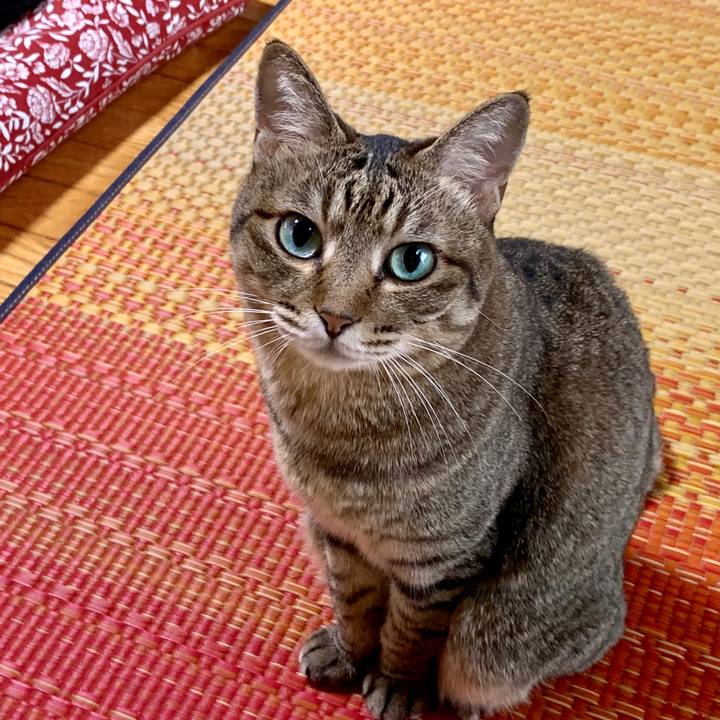 Af94a4d1 a131 420e a313 610128bfc50a 1598938894235