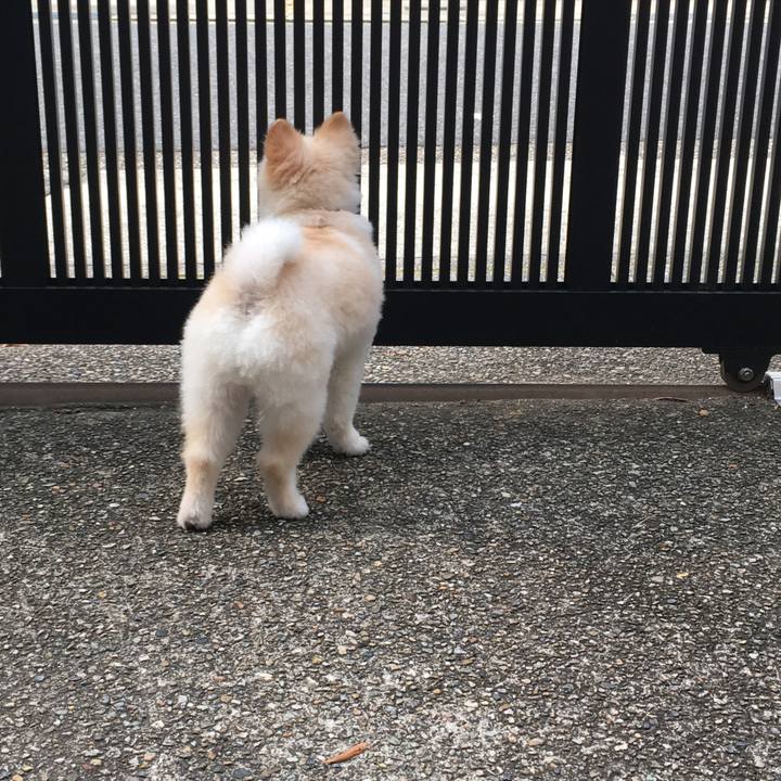 Af94b313 d282 4ea1 8765 cb4f440a06e0 1598313017732