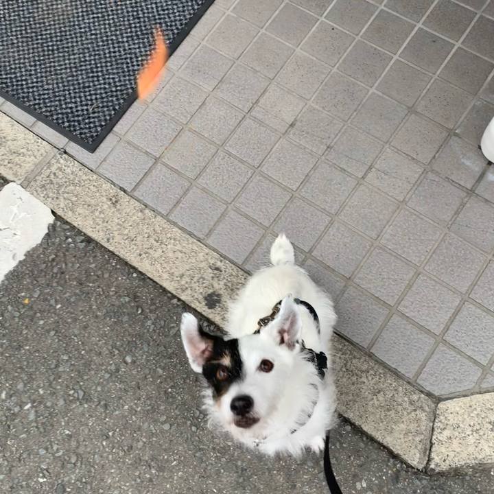 Af9506b3 f68b 46b3 8e66 a664677b7e92 1719044736961