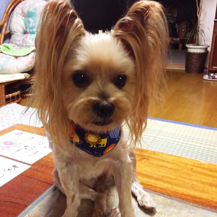 Af95405e 730b 4c42 9ea9 e7356f8ab511 1535626757657