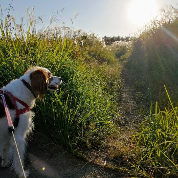 Af955fce c906 41c0 b4b6 3fc341c8cba9 1634305737948