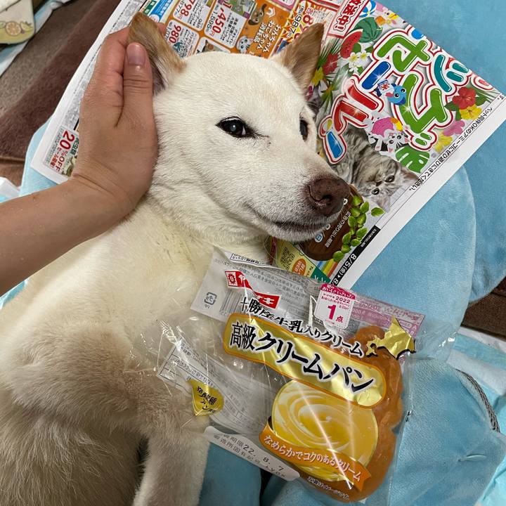 Af956c73 dc3e 4d53 8683 4e34f953f81e 1659684801783