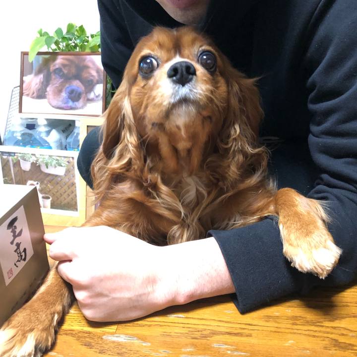 Af9581e8 bfc2 4b42 8cad 12a40bb0cc2d 1609885057832