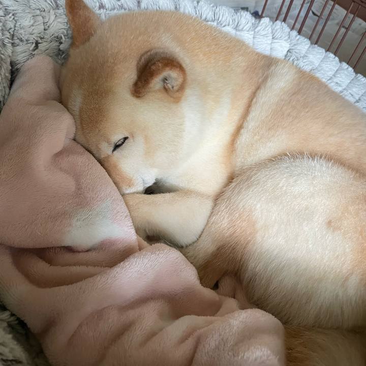 Af95928f 6400 489c ae13 a1afcd168971 1684814080086