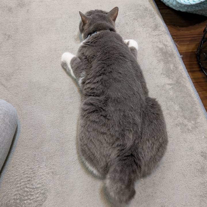 Af95cafa fe09 41bc 86b2 79378809d1c0 1743070224975