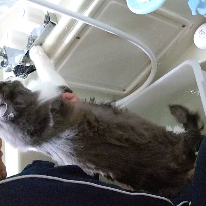 Af95e6cb 7065 4210 96fd b9bf9f57bc87 1588401118686