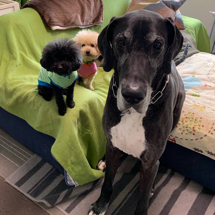 Af95eb14 fd8e 42e8 aa67 2b4429a69041 1555455098129