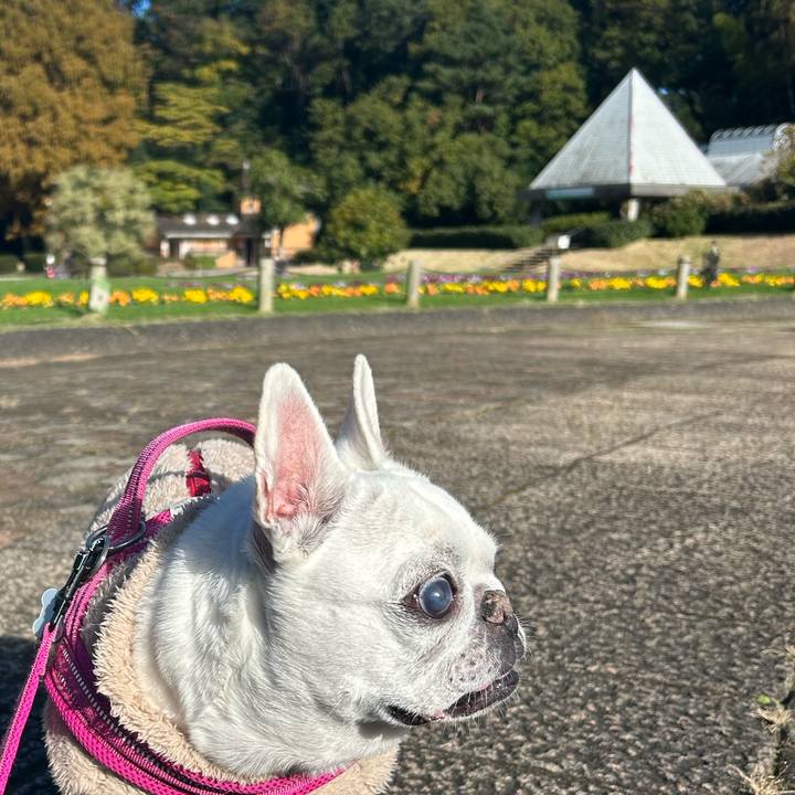 Af9600f8 d6df 4ac6 bbcc a6b05ea77a95 1732451860251