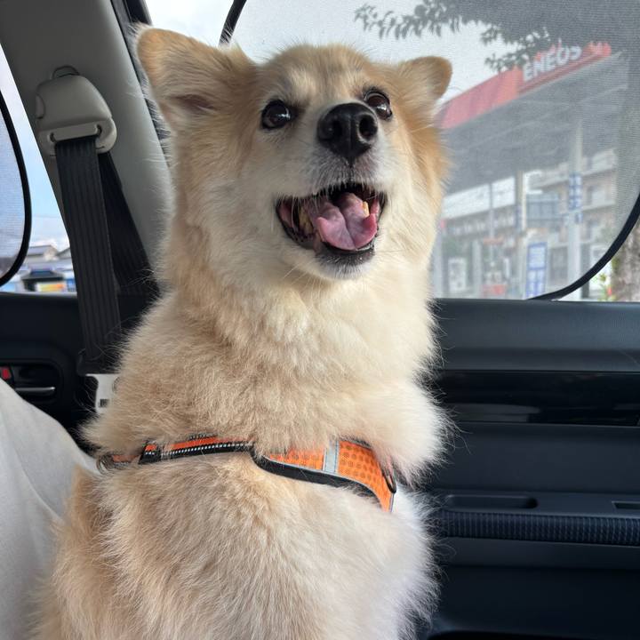 Af9607e8 cd31 4b5b 9915 175419437623 1758069391476