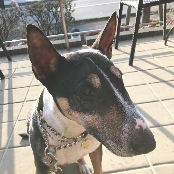 Af9627bf 3866 4b61 9c4e 3708480e1a11 1521285270413