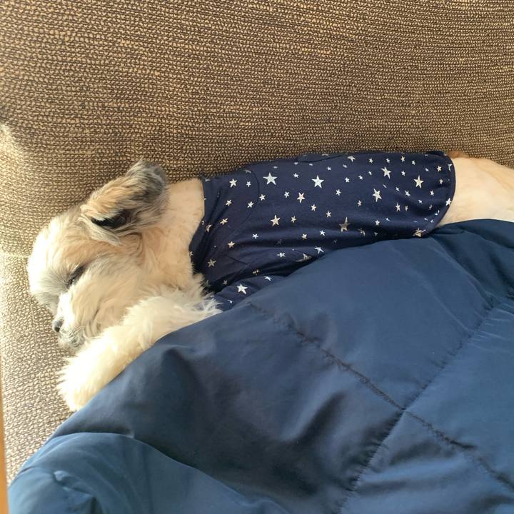 Af962df9 e87a 49db a54b ad2a5c560023 1610184708182