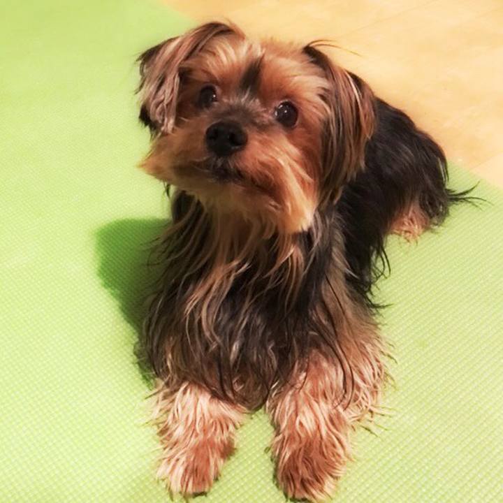 Af9641af 99b5 4029 95d6 990818ee74f5 1520492702911