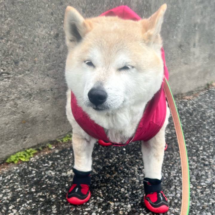 Af964bb3 0182 48fc 9571 ca8c20a6fdbc 1743479378037