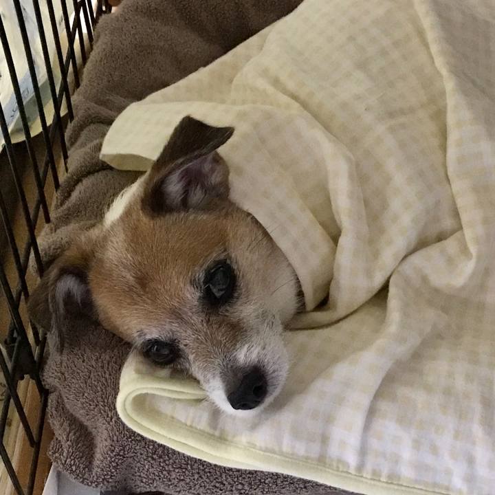 Af9651bc 8af9 4cd2 b637 ffd312c1104f 1595770214196