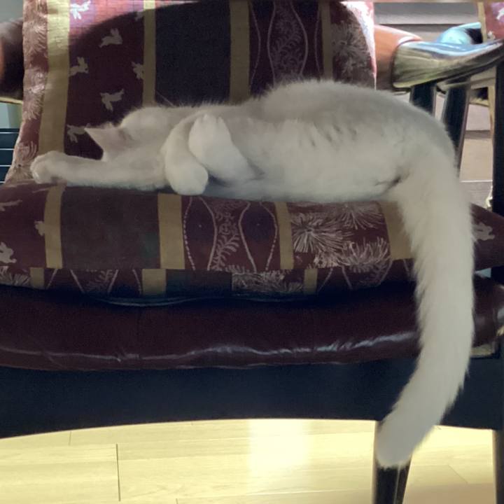 Af9697a5 bfed 4c57 9905 c5dc51eca374 1668217331943