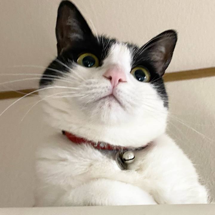 Af96a18d 70a0 4cd5 aef1 5718f7c11038 1613949328207