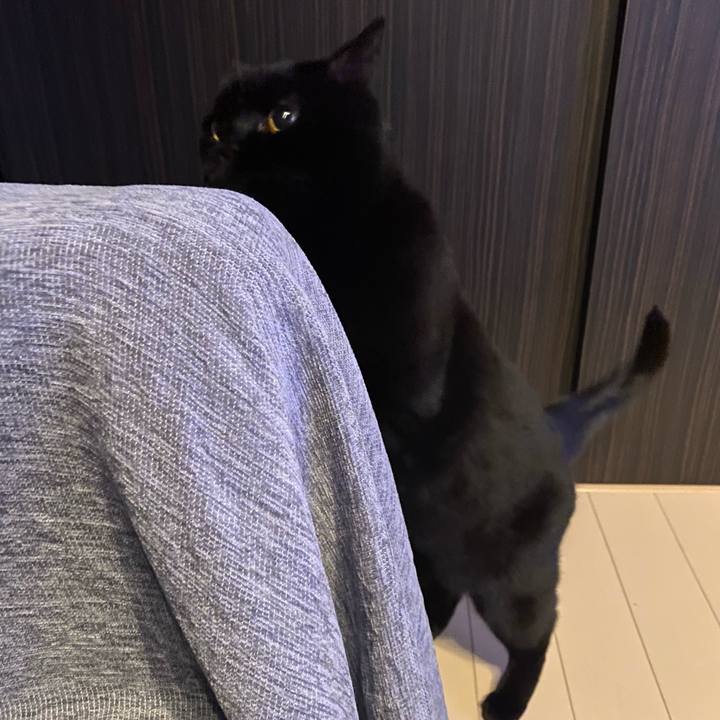 Af96a71c 6093 41b4 8bbf 289672421233 1743075555682