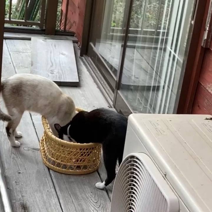 Af96cb1c 80c7 4d23 8642 b3ecb9c979b5 1775681691721