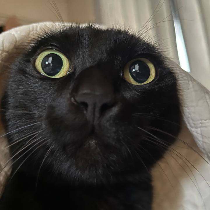 Af96d789 c7d2 4dc4 bab0 c168ae6a5b42 1745114357723