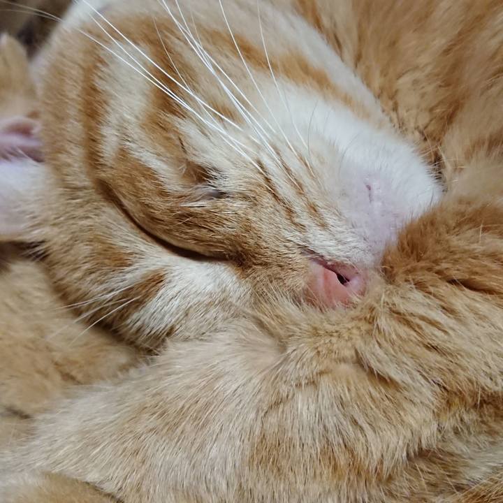 Af970ae4 3846 41b4 ae33 f61c0f819ed4 1653999800206