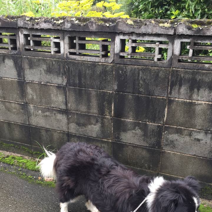 Af970e70 00c0 4870 afcb bf1d9e9ede27 1567038993135