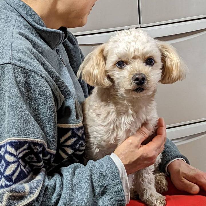 Af975751 a7ed 4fbb a2d3 64e50f3ae677 1638796355013