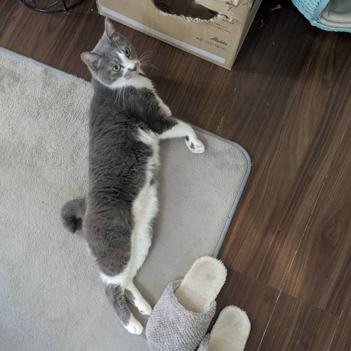 Af976f47 f429 4b43 9c3e c707ef7158be 1768269922203