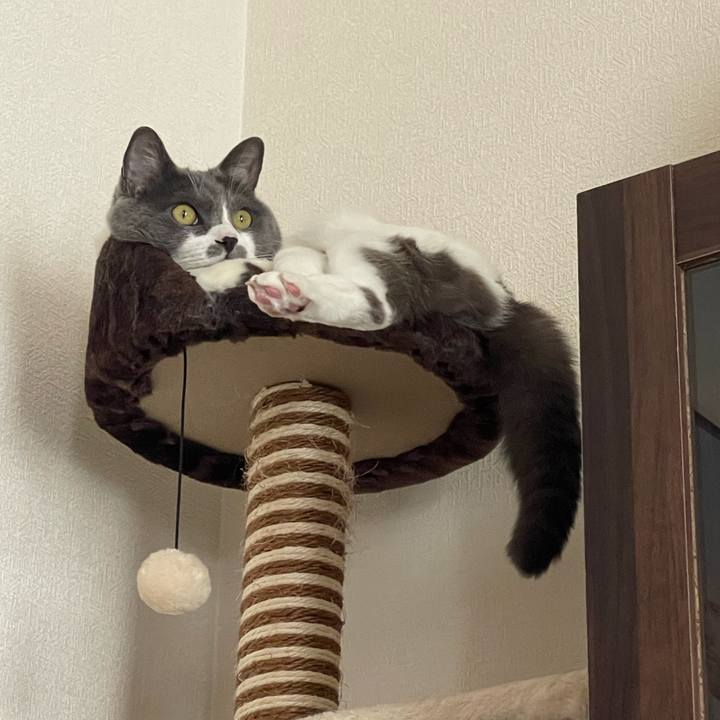 Af97c365 a691 4cac 9911 5b955023be1c 1686293899544