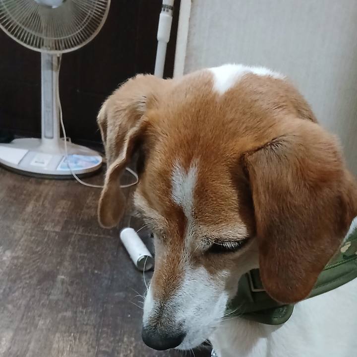 Af97fb2e 4eed 40a7 9cd2 fa049ec3540d 1752201993568