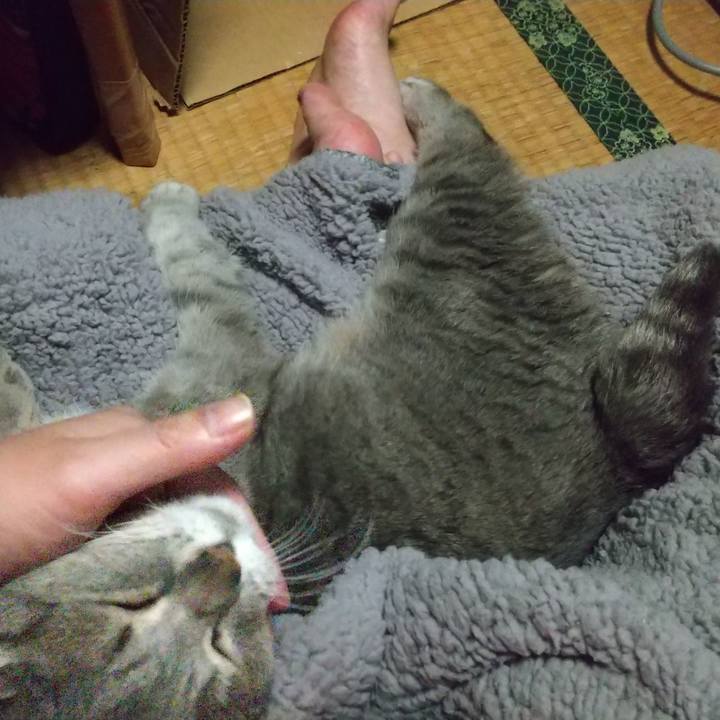 Af9807c5 954c 4883 9507 fcaf1f08b0b9 1683540502250