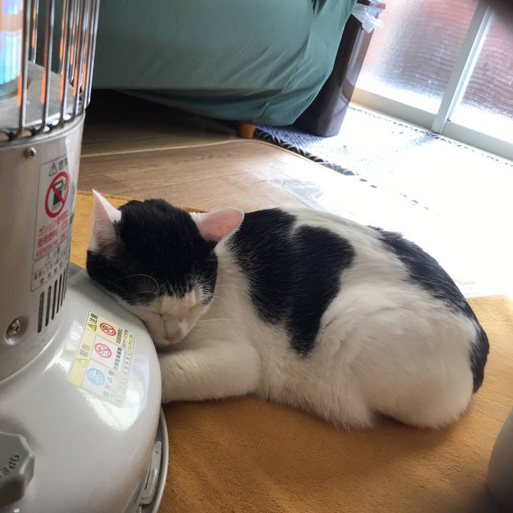 Af981cb4 4d32 410c a285 ce32b585290a 1545701701393