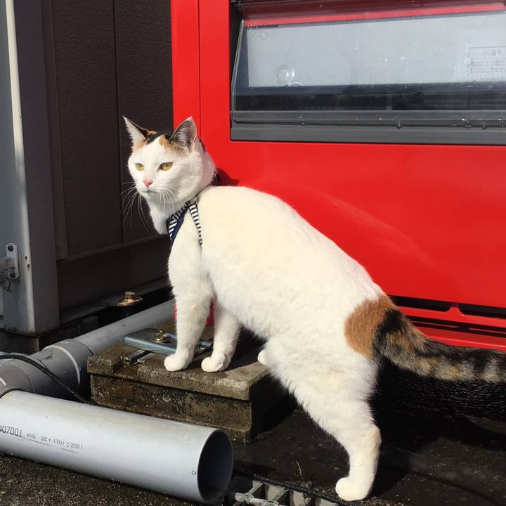 Af9832bf c03c 4e0e a127 a8f786e635b6 1521088196593