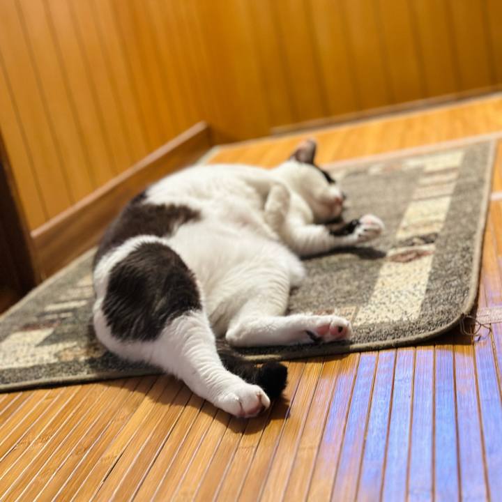 Af983a61 70cf 46c0 a2b0 2b849078bca0 1687917397119