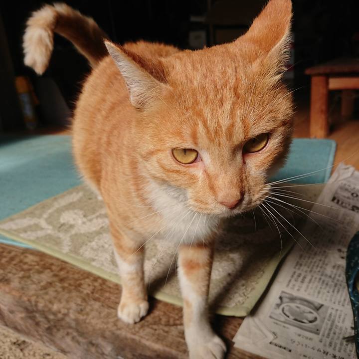 Af986126 c2ed 4620 93fd 30714c7f0730 1572661357595