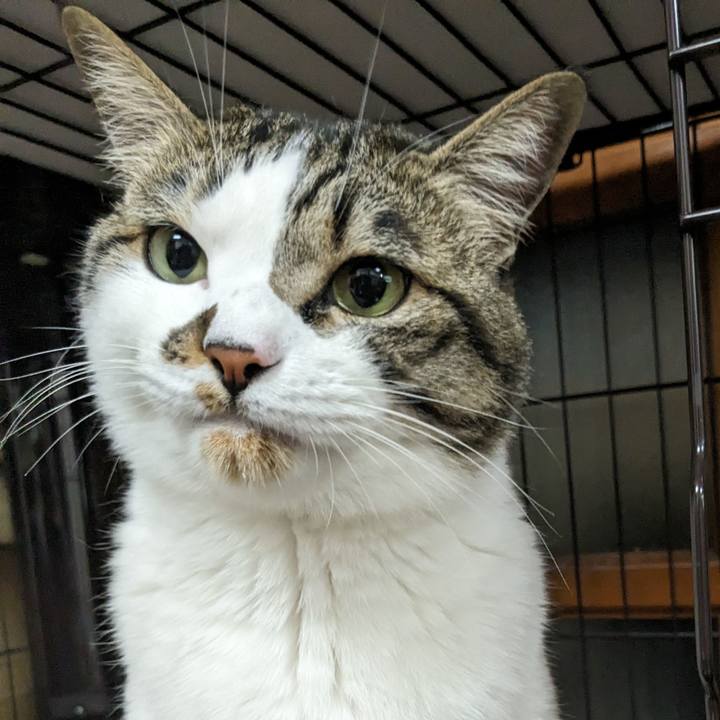 Af986b2e 8dca 4005 be56 022a206e5ce2 1714650626428