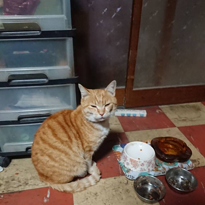 Af989108 cdfb 4c7a 9cdc 6a4a6a402419 1584953741438