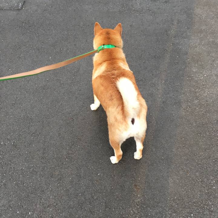 Af989dbc a004 4aa1 bd35 d984c54e8ff6 1603007337360