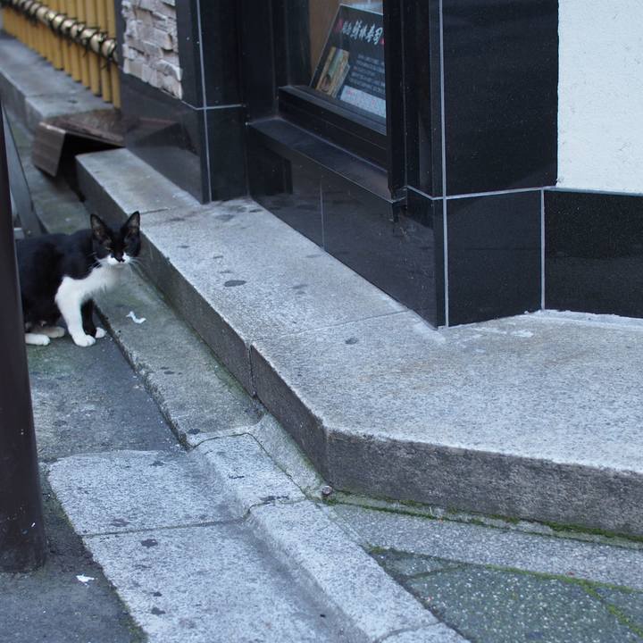 Af98a1b9 3891 416a af21 e1b9c56008aa 1543377562487