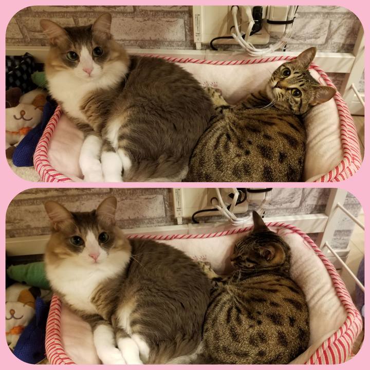 Af98bcae d1ea 4604 bad3 561b650c03e1 1585144119367