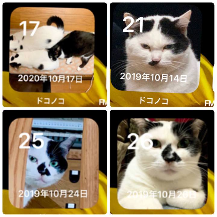 Af98d52a 1e25 4871 957a 21cf96581f7a 1635231980427