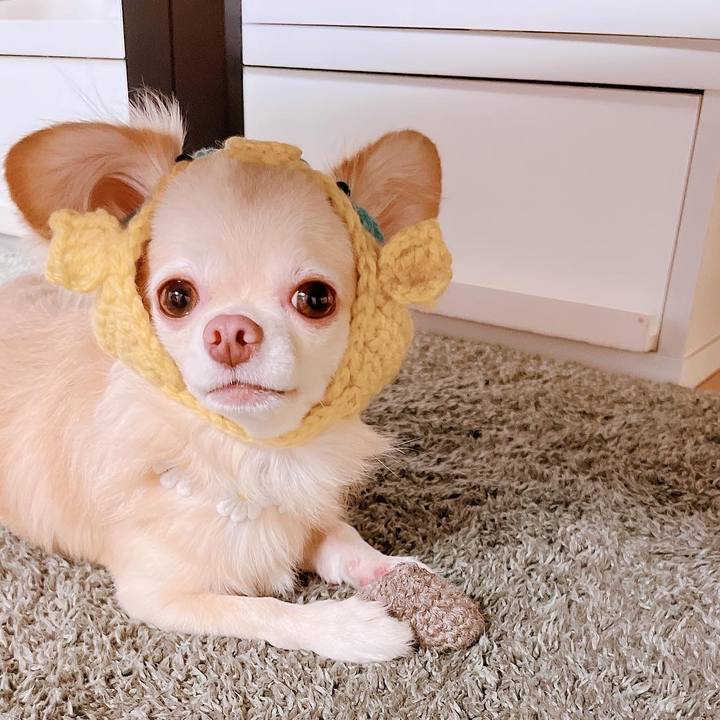 Af992a66 6984 4f30 aa30 7d15e3a3cdcd 1662623031704